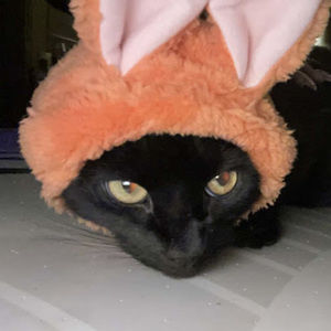 Meet your Posher, _-